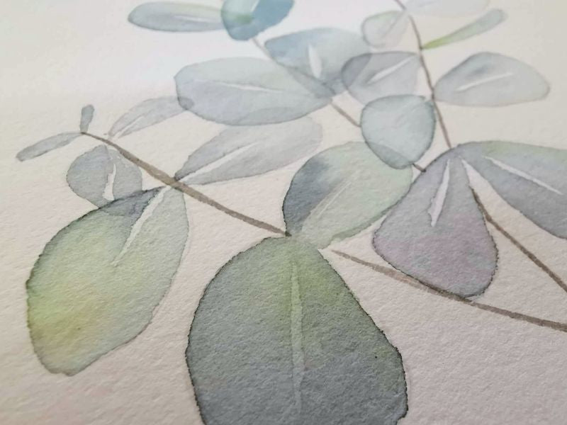 Digital kreativ workshop - artboxen Eucalyptus