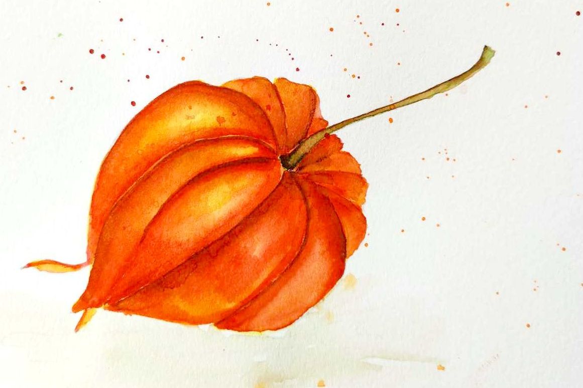 Physalis - mal japanske lygter med akvarel