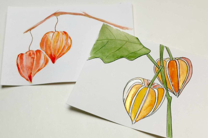 Physalis - mal japanske lygter med akvarel