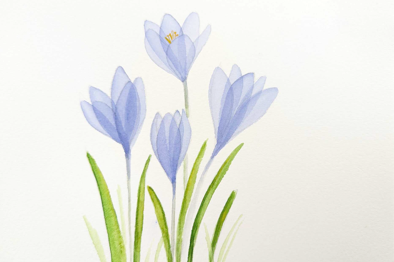 ARTivity ArtLab - Crocus /Replay