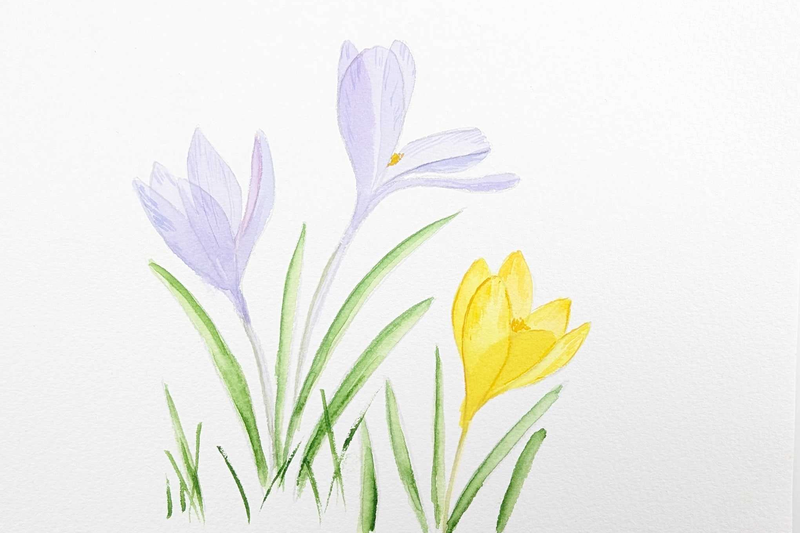 ARTivity ArtLab - Crocus /Replay