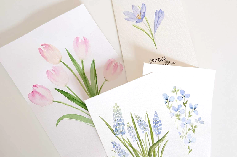Spring flowers watercolour