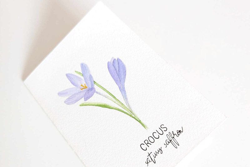 Digital kreativ workshop - artboxen Spring Flowers Collection