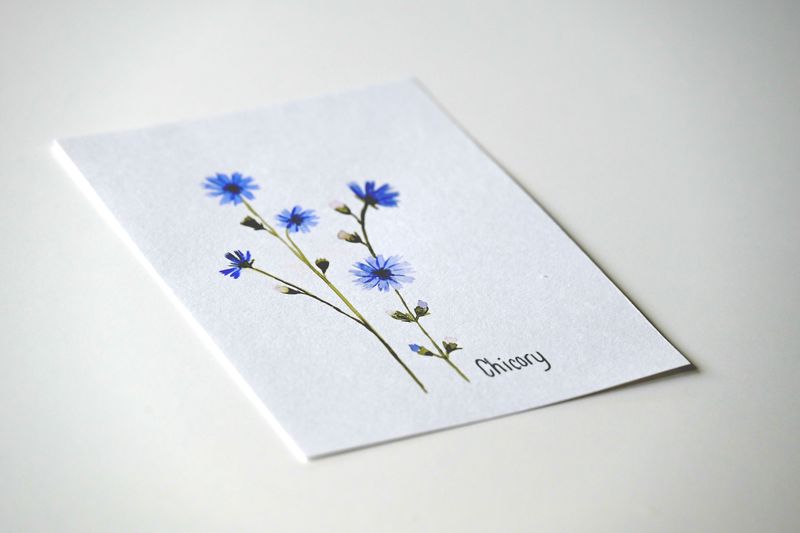 Digital kreativ workshop - artboxen Wildflowers 2 BLUE EDITION