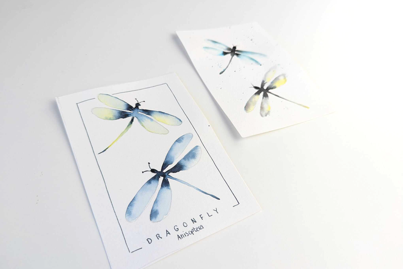 dragonflys akvarel artbox