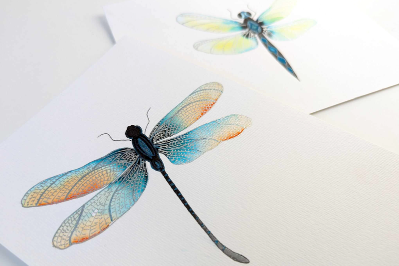 dragonfly wawtercolour artbox