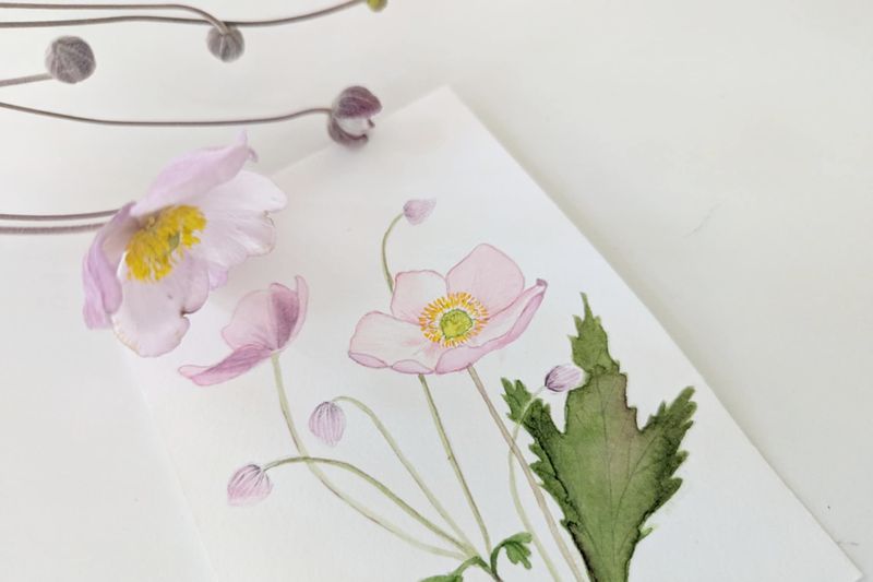 ARTivity ArtLab - ANEMONE HUPEHENSIS / Høstanemone