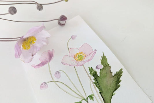 ARTivity ArtLab - ANEMONE HUPEHENSIS / Høstanemone - Replay