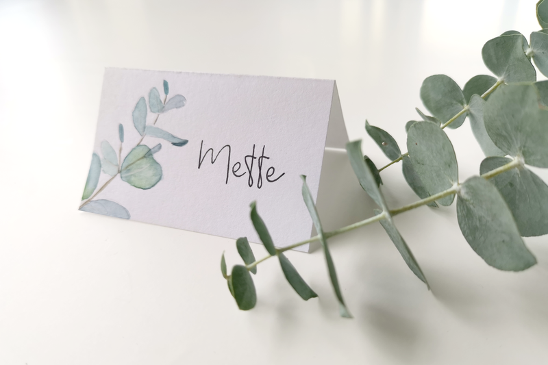 Digital kreativ workshop - artboxen Eucalyptus