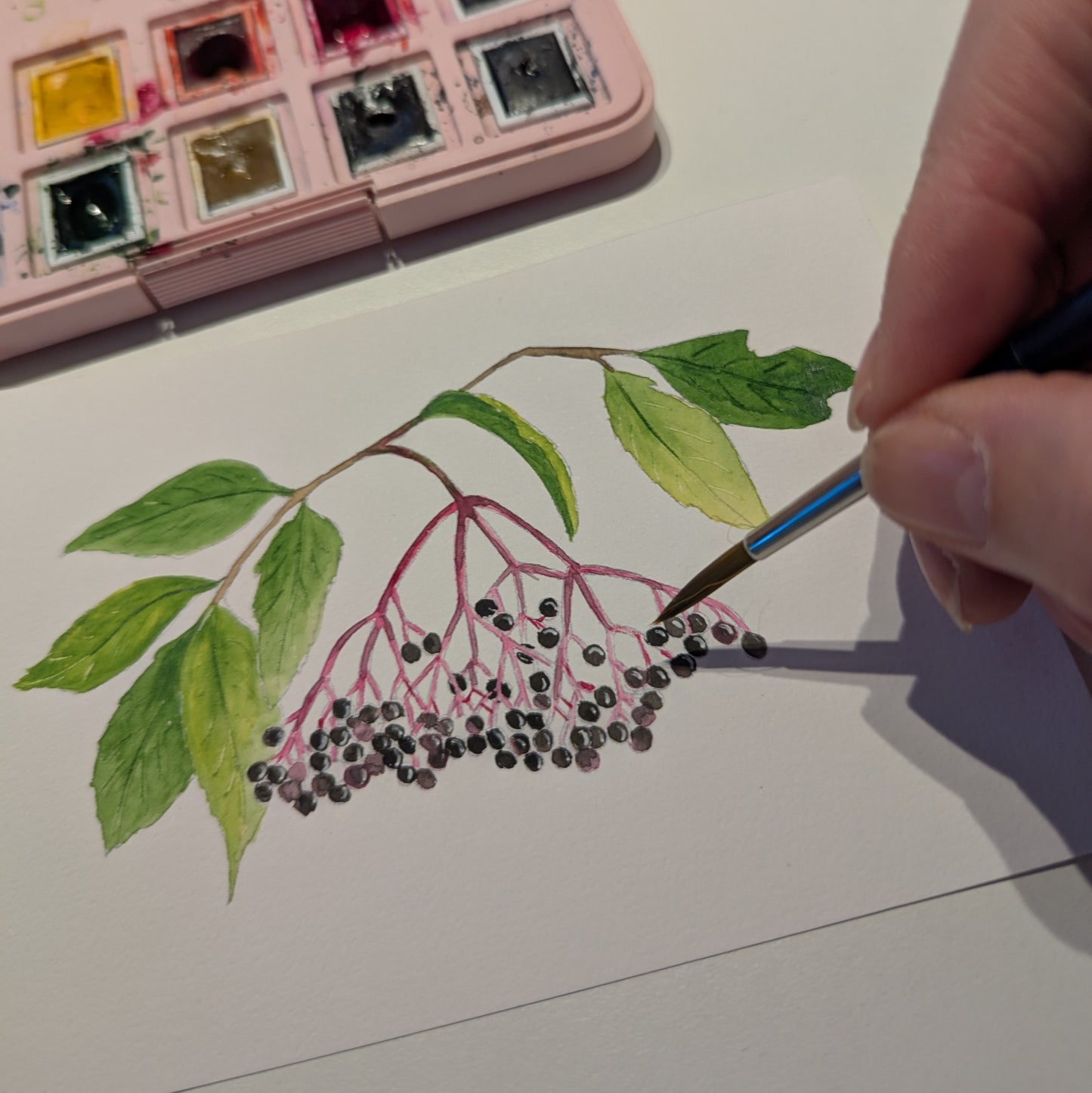 A6 akvarel Mal-selv-kort - BERRIES