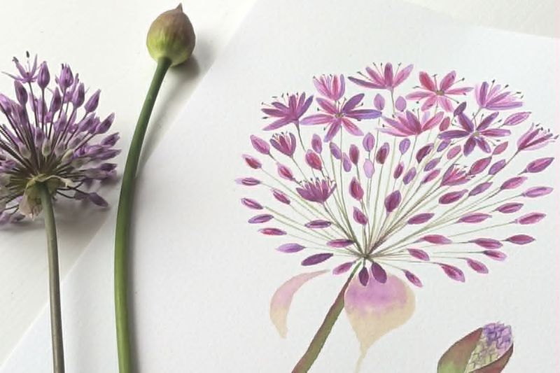 ARTivity ArtLab - ALLIUM - Replay