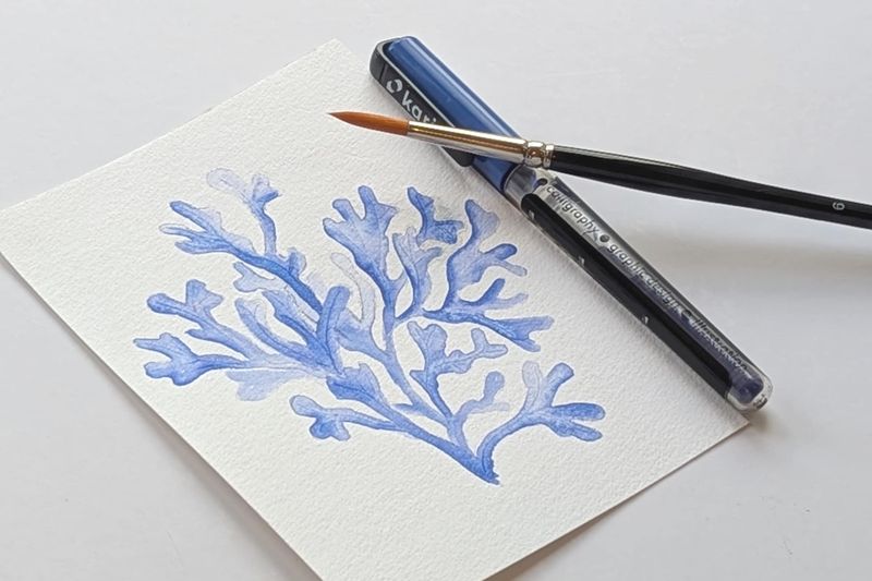 Corals with brushmarkers