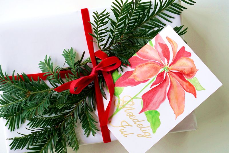 Jule Akvarel Workshop - Christmas Flower