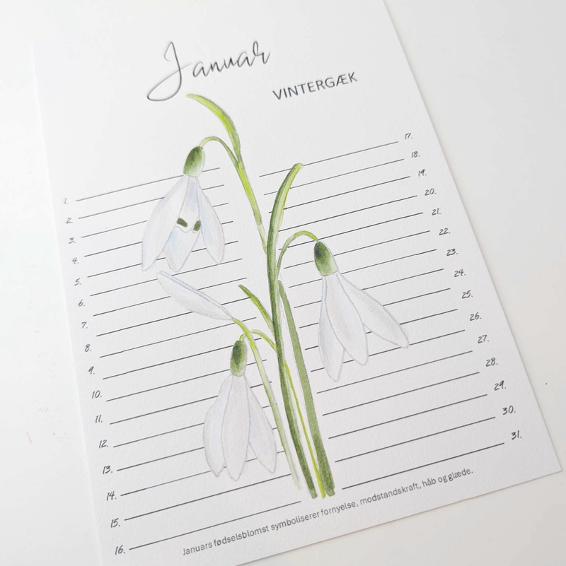 mal selv akvarelkalender med fødselsblomster