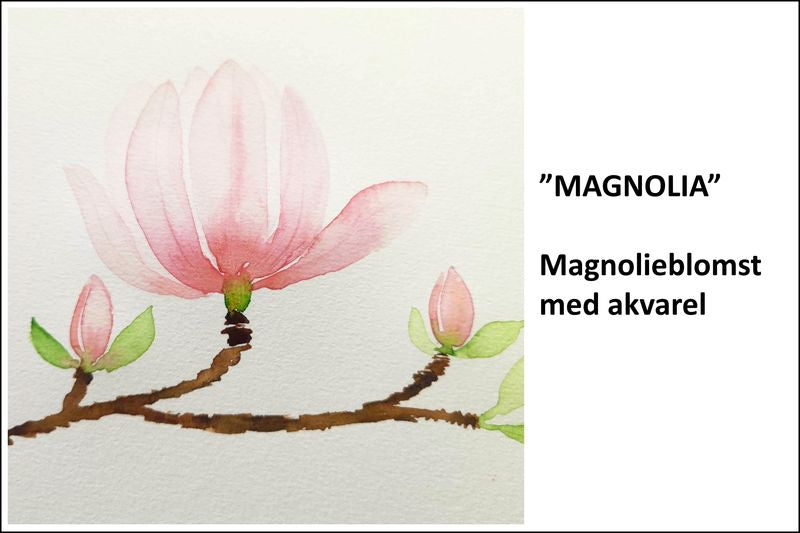 Creative hour - MAGNOLIA