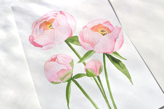 ARTivity ArtLab - PEONY / Replay