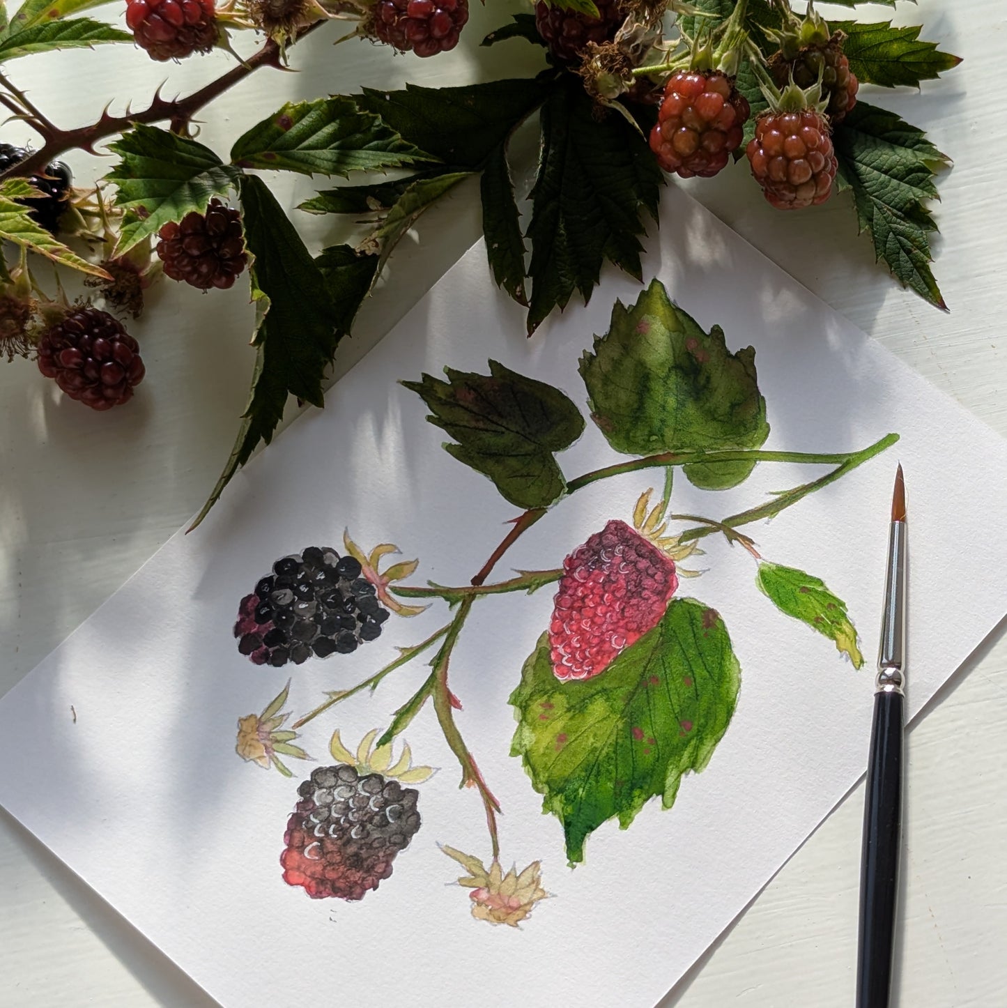 A6 akvarel Mal-selv-kort - BERRIES