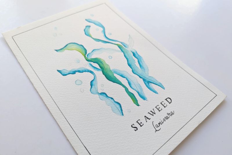 Seaweed with Karin Brushmarkers Pro