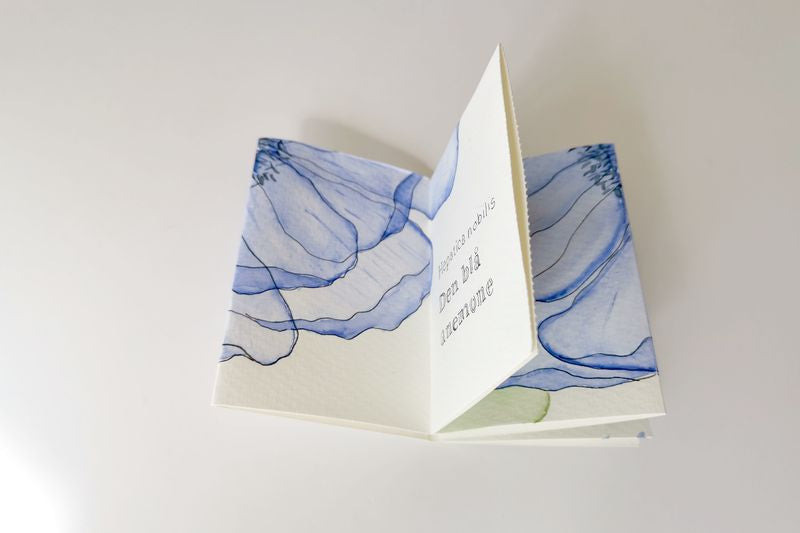 zine bog