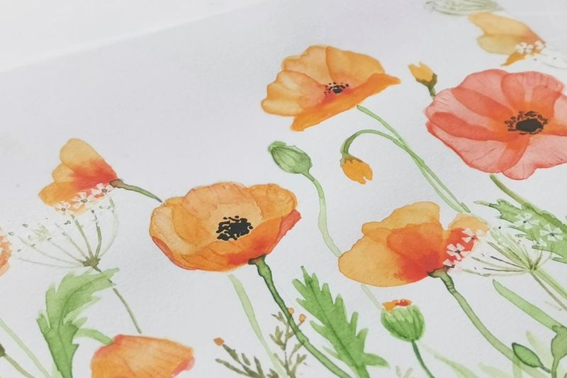 Poppies - DIY akvarelkit med valmuer