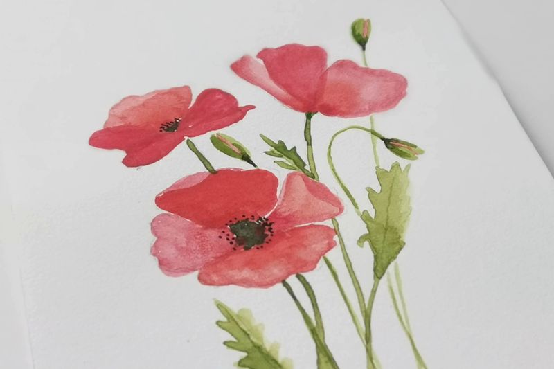 Poppies - DIY akvarelkit med valmuer