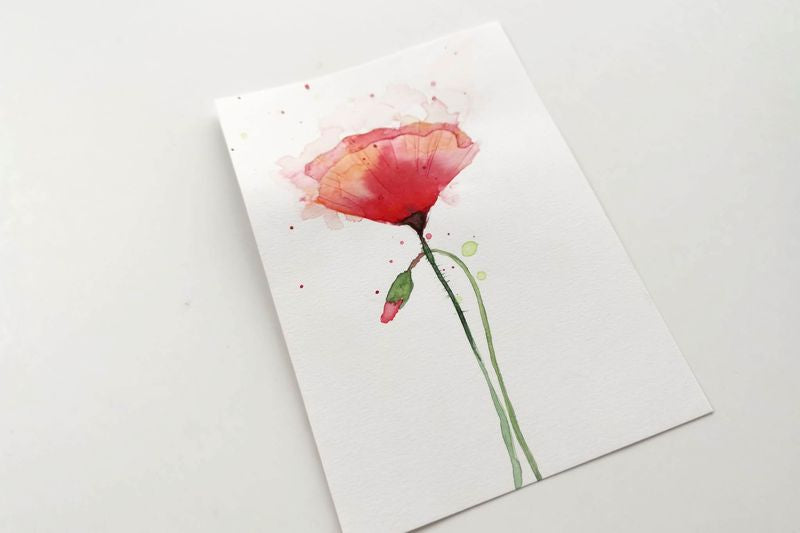 Poppies - DIY akvarelkit med valmuer