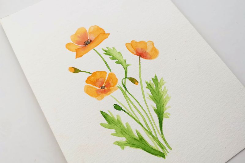 Poppies - DIY akvarelkit med valmuer
