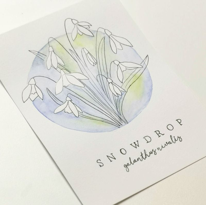 Skabeloner Snowdrop - vintergækker