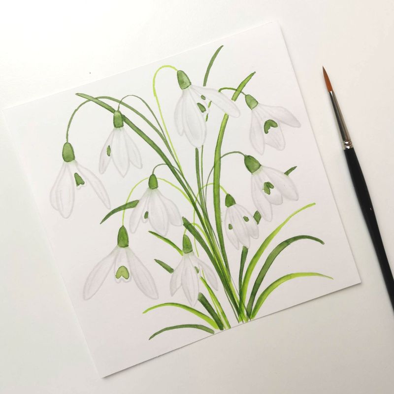 Skabeloner Snowdrop - vintergækker