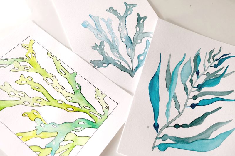 akvarel for begyndere