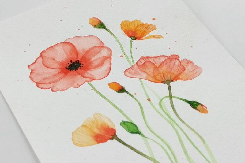 Poppies - DIY akvarelkit med valmuer