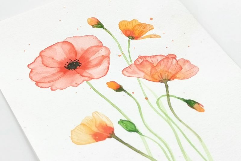 Poppies - DIY akvarelkit med valmuer