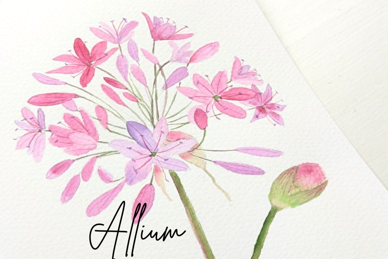 ARTivity ArtLab - ALLIUM - Replay