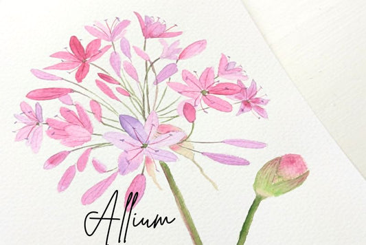 ARTivity ArtLab - ALLIUM