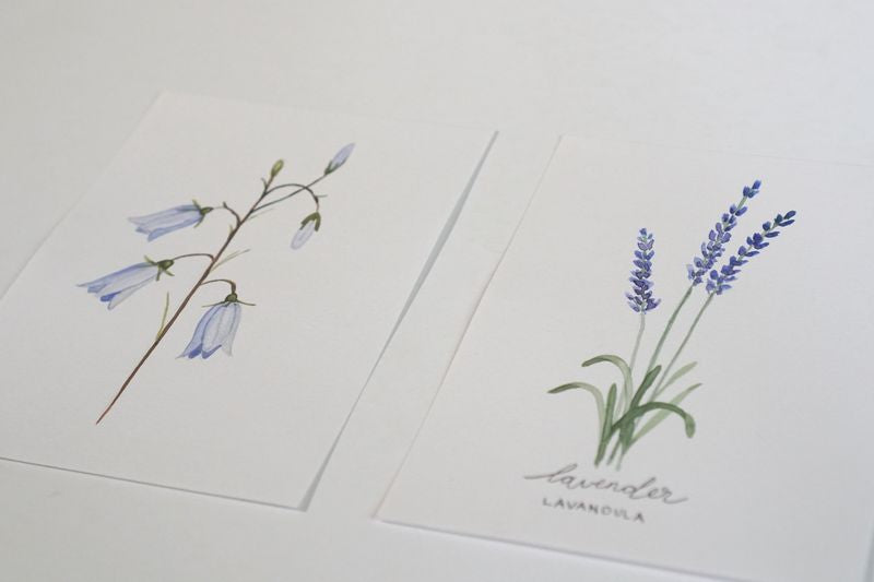 Digital kreativ workshop - artboxen Wildflowers 2 BLUE EDITION