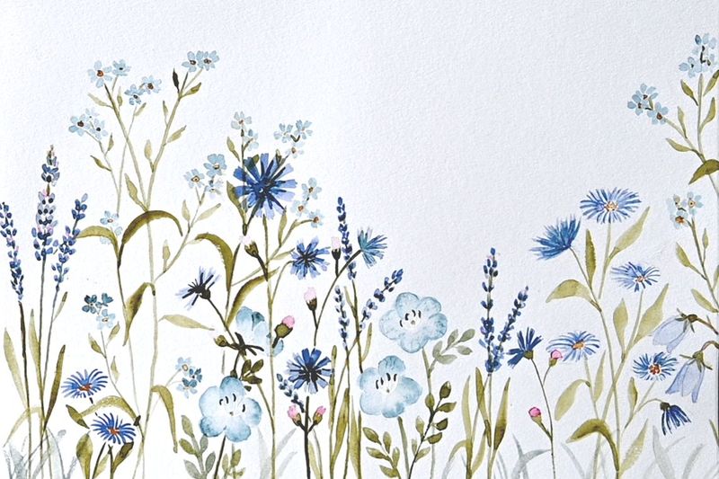 Wildflower 2 BLUE EDITION - DIY akvarelkit med vilde blomster