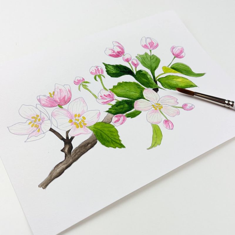 A5 akvarel Mal-selv kort - FOUR SEASONS