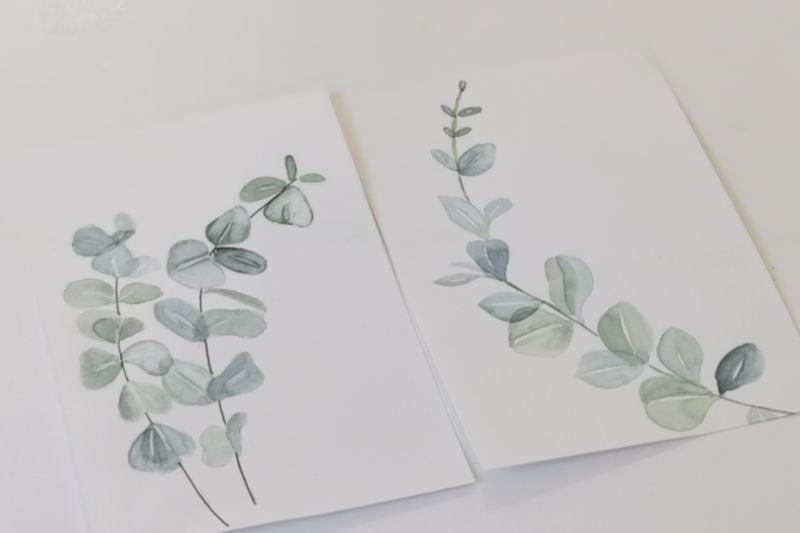 Eucalyptus - DIY akvarelkit