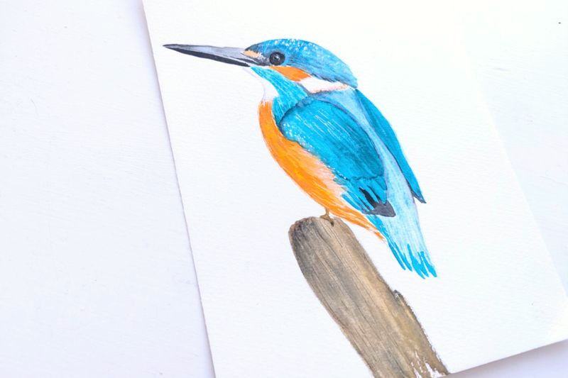 ARTivity ArtLab - KINGFISHER / ISFUGLEN - Replay