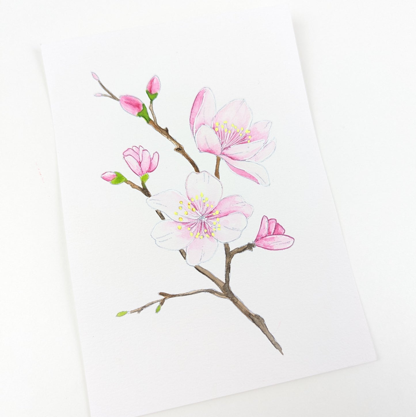 A6 akvarel Mal-selv-kort - SPRING