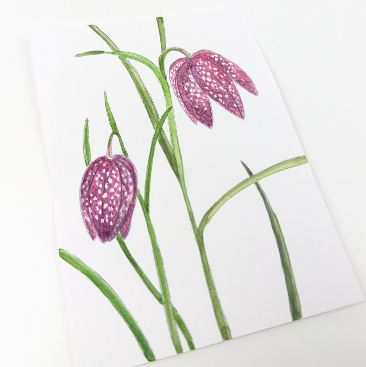 A6 akvarel Mal-selv-kort - SPRING