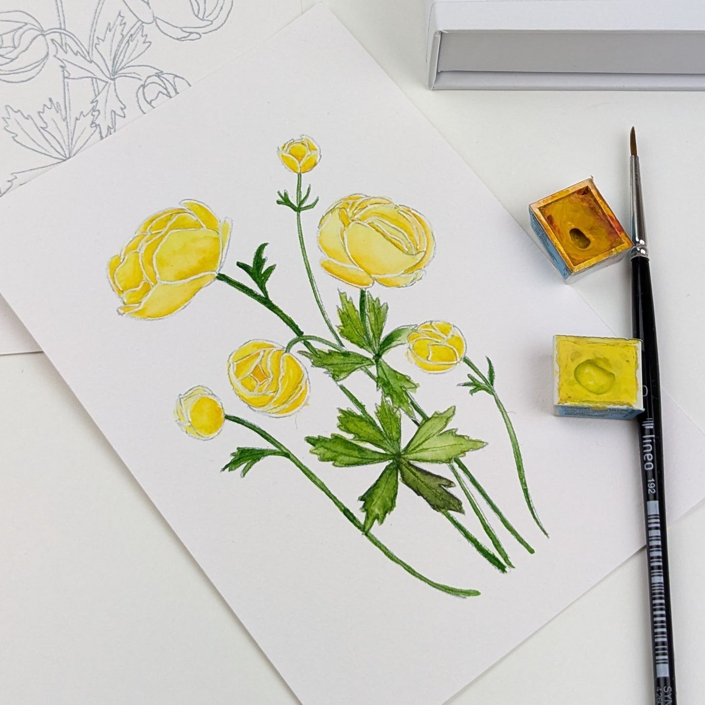 A6 akvarel Mal-selv-kort - SPRING