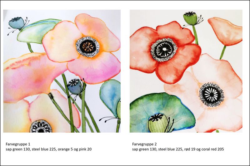 Materialepakke til online akvarel LIVE workshop Abstract Poppies