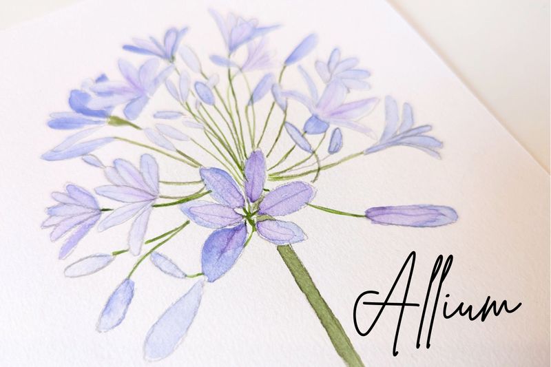 ARTivity ArtLab - ALLIUM - Replay