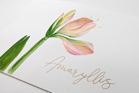 ARTivity ArtLab - AMARYLLIS