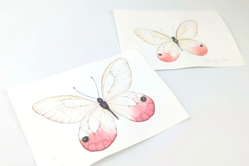 Butterflies - Akvarelkit med sommerfugle