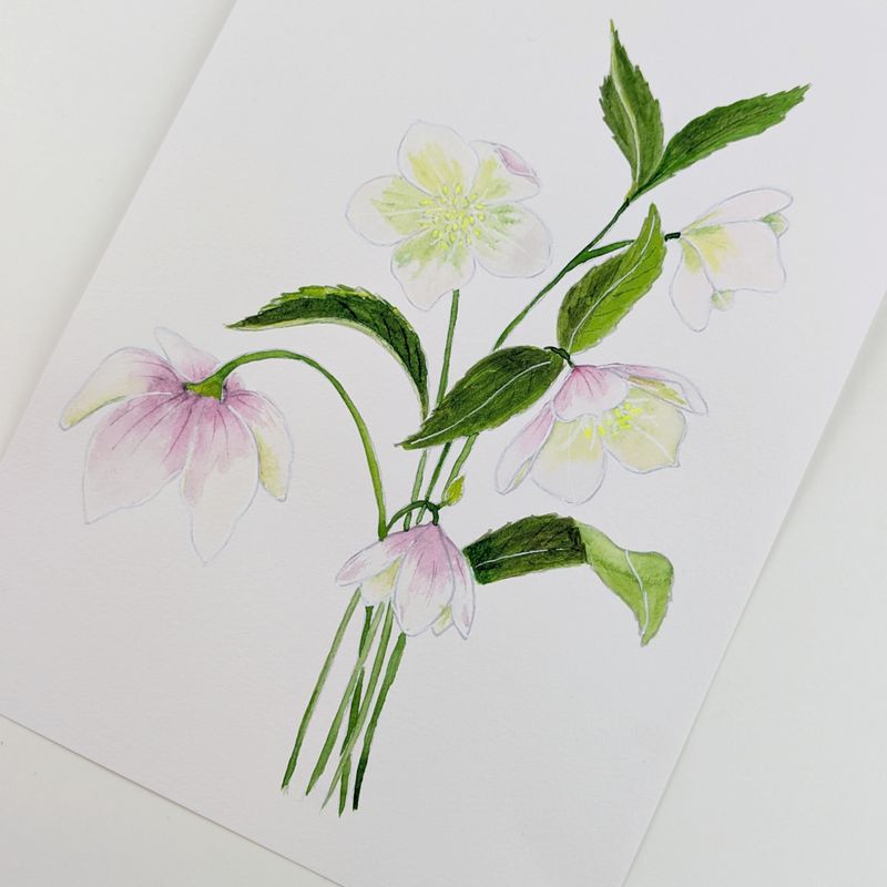 A5 akvarel Mal-selv kort - FOUR SEASONS