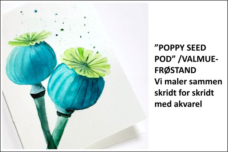 Creative hour - POPPY SEED POD /VALMUEFRØSTAND