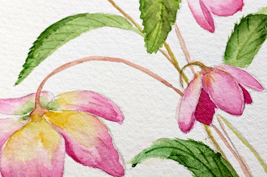 ARTivity ArtLab - Helleborus - Replay