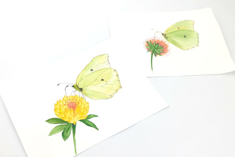Butterflies - Akvarelkit med sommerfugle